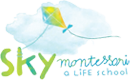 Logo Sky Footer